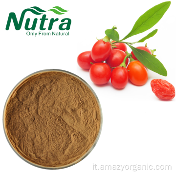 Estratto biologico di bacche di Goji Wolfberry